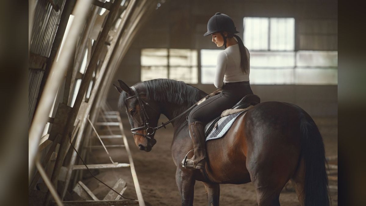 Top 10 Equestrian Communities in Phoenix — figure 6