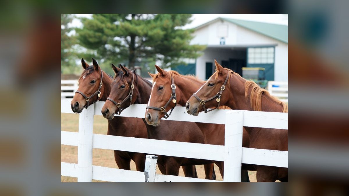Top 10 Equestrian Communities in Nashville in 2027 β figure 10