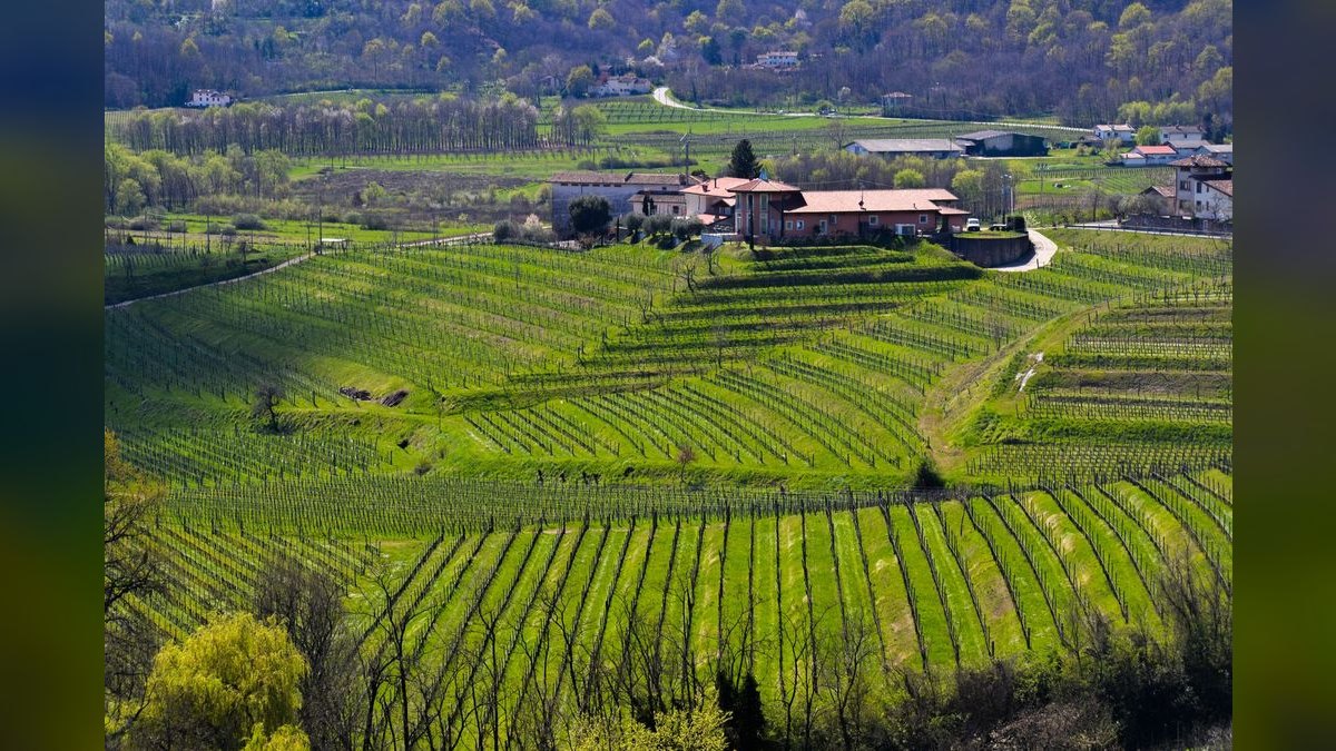 Top 10 Vineyard Estates in Atlanta — figure 5