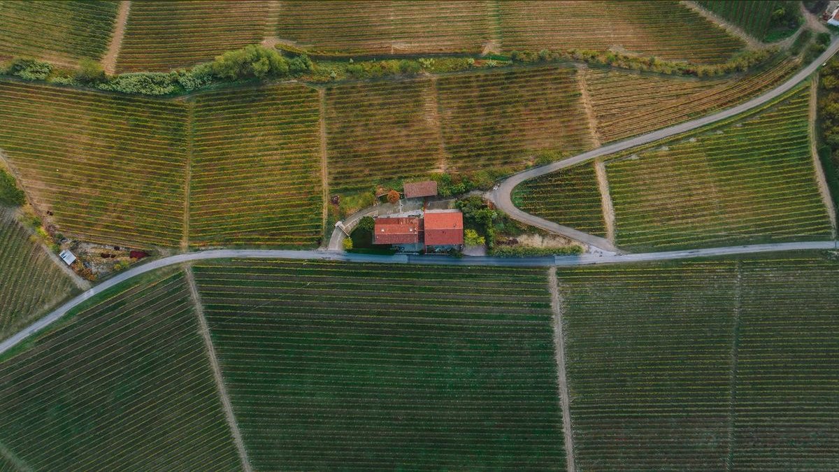 Top 10 Vineyard Estates in Atlanta — figure 6