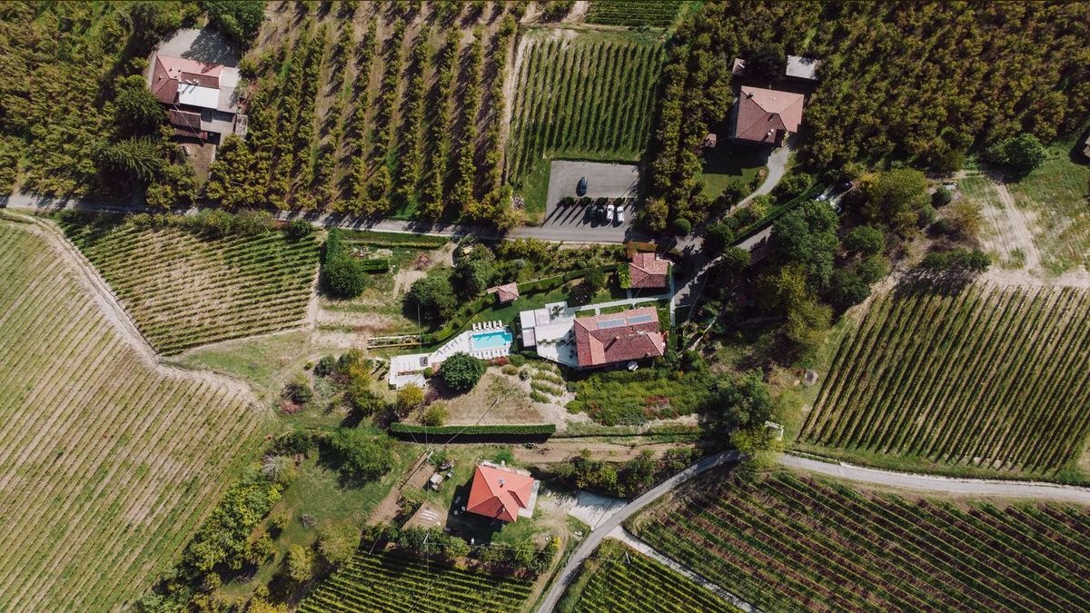 Top 10 Vineyard Estates in Atlanta in 2027