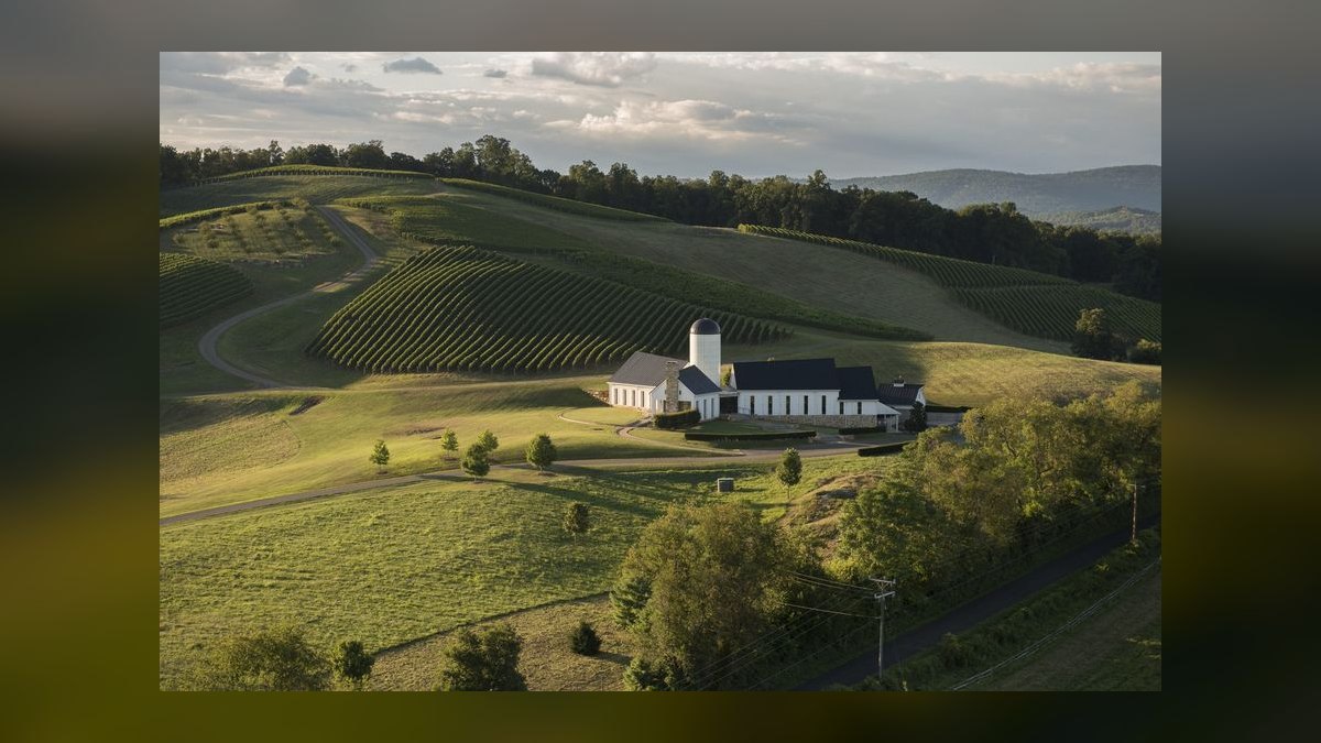 Top 10 Vineyard Estates in Houston in 2027 — figure 7