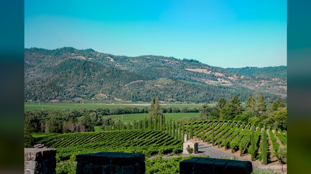 Top 10 Vineyard Estates in Austin — figure 6