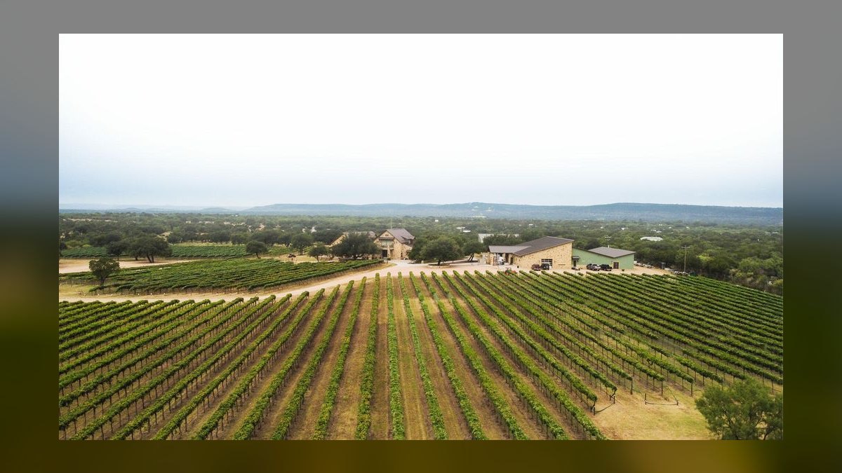 Top 10 Vineyard Estates in Austin in 2027 — figure 7