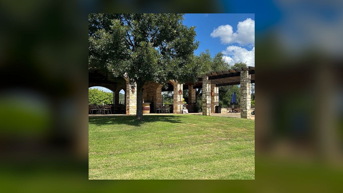 Top 10 Vineyard Estates in Austin in 2027 — figure 8