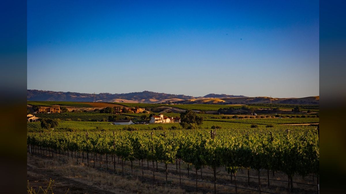 Top 10 Vineyard Estates in Scottsdale — figure 1