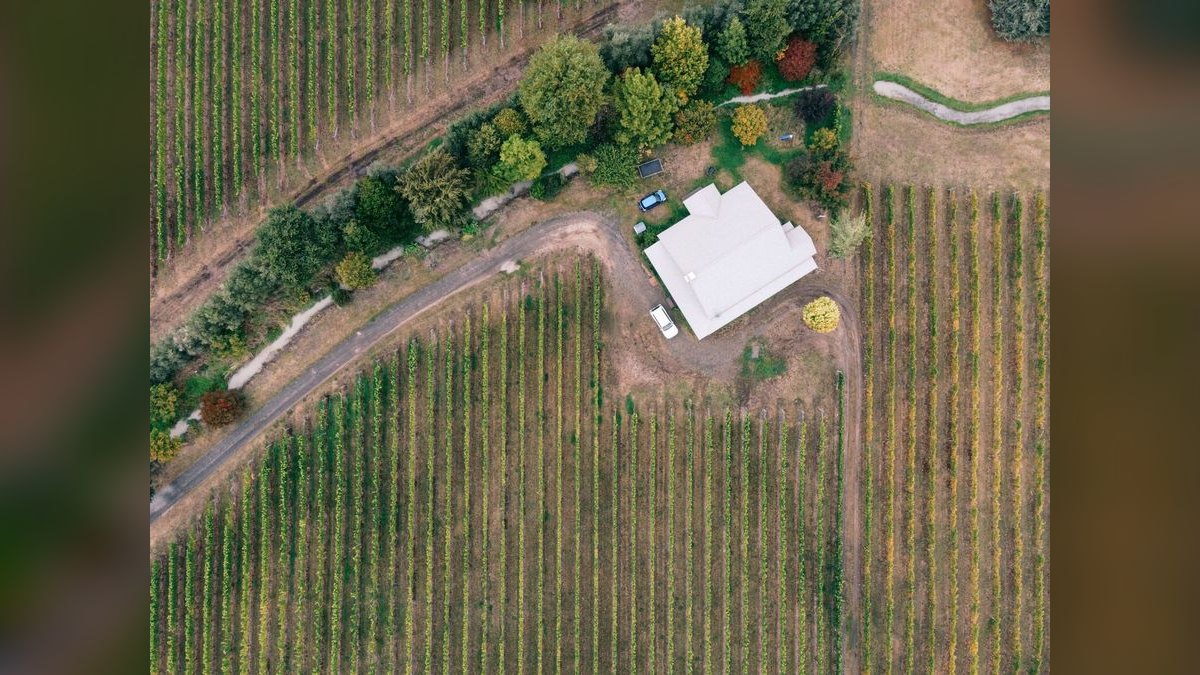 Top 10 Vineyard Estates in Denver — figure 5
