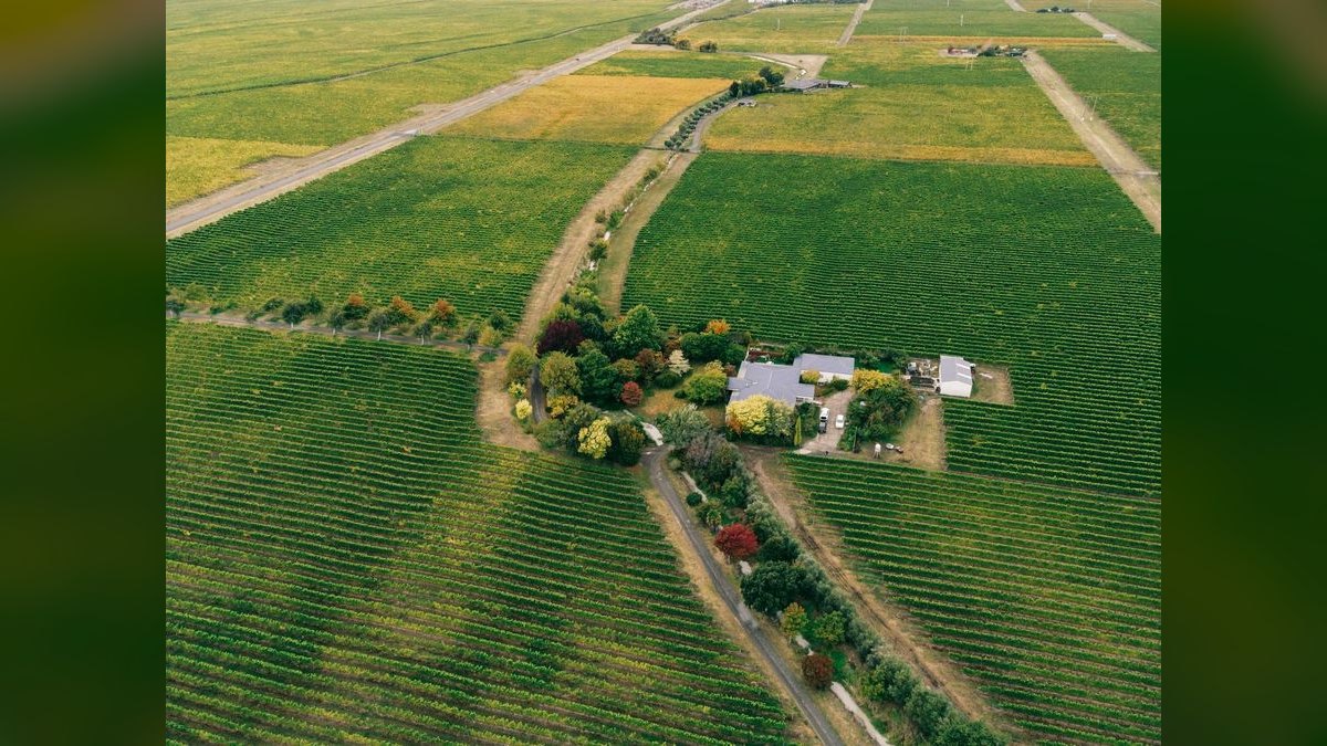 Top 10 Vineyard Estates in San Diego — figure 1