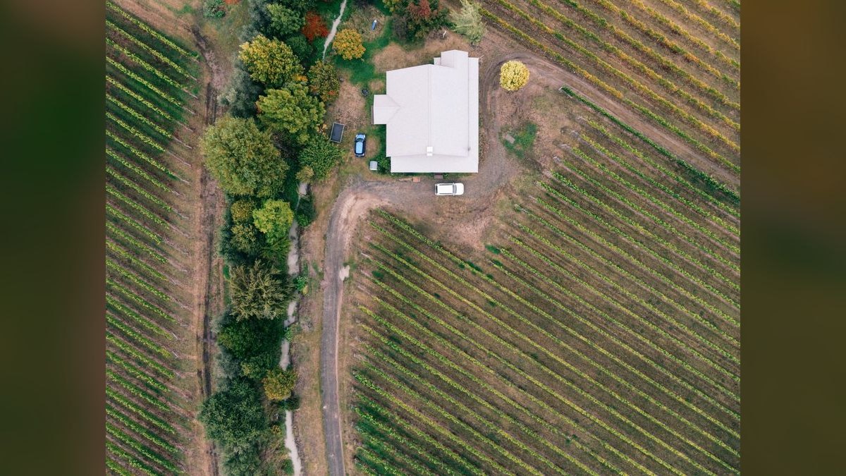Top 10 Vineyard Estates in San Diego — figure 2