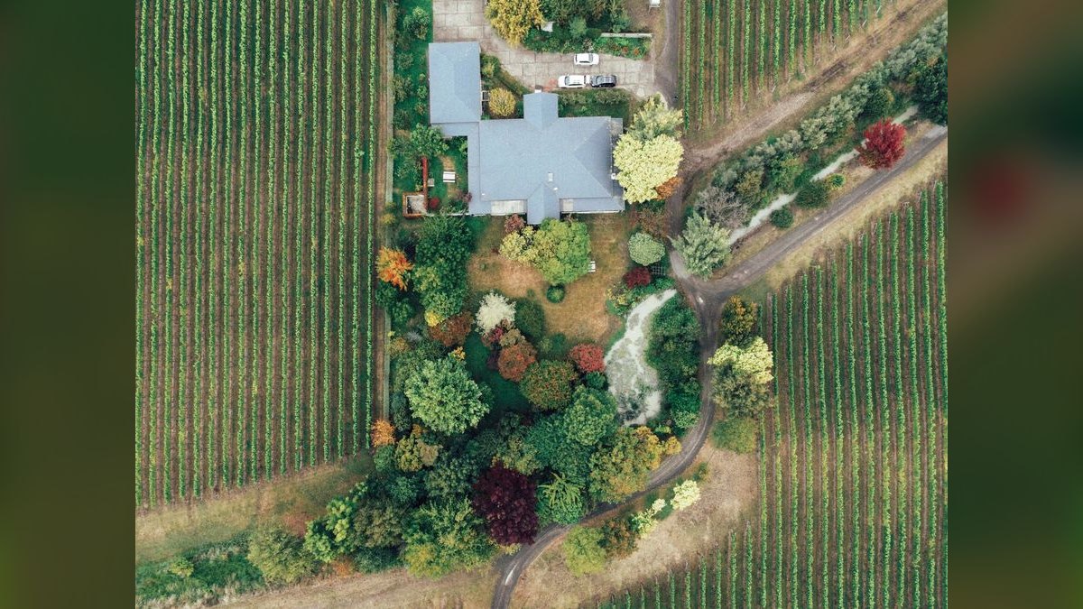 Top 10 Vineyard Estates in San Diego — figure 5