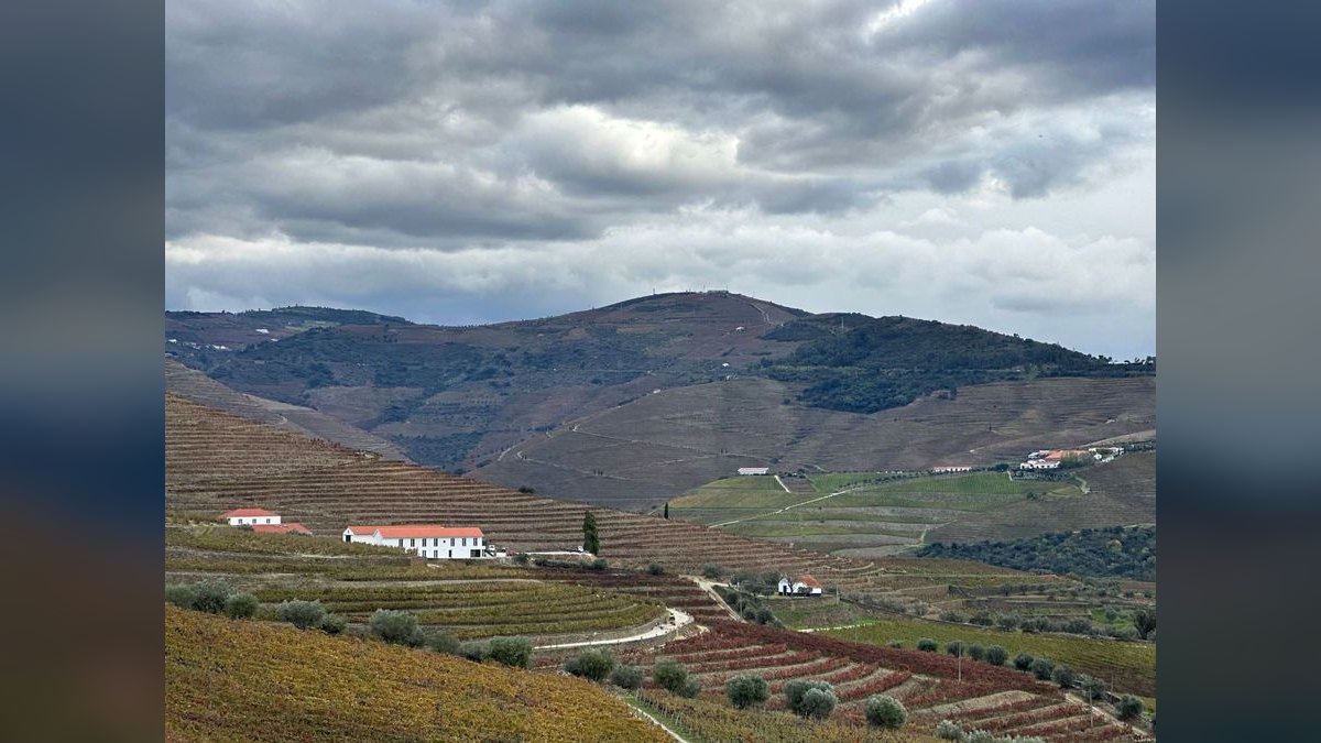 Top 10 Vineyard Estates in San Diego — figure 6