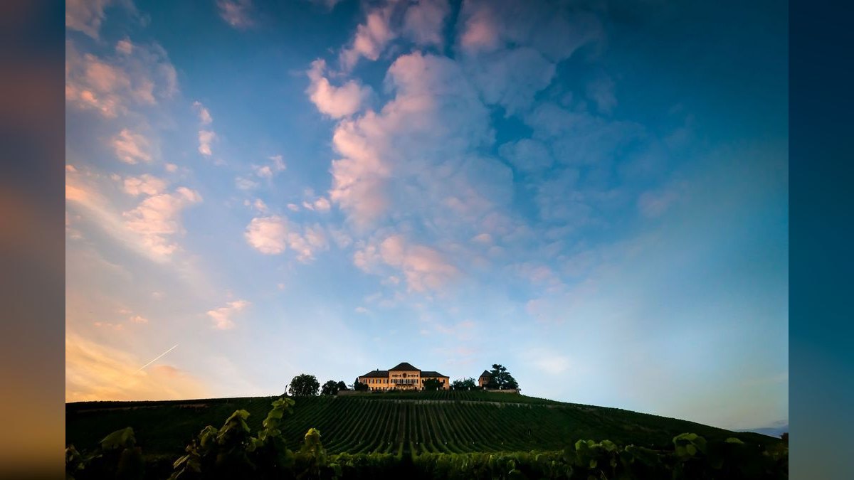 Top 10 Vineyard Estates in Charlotte — figure 2