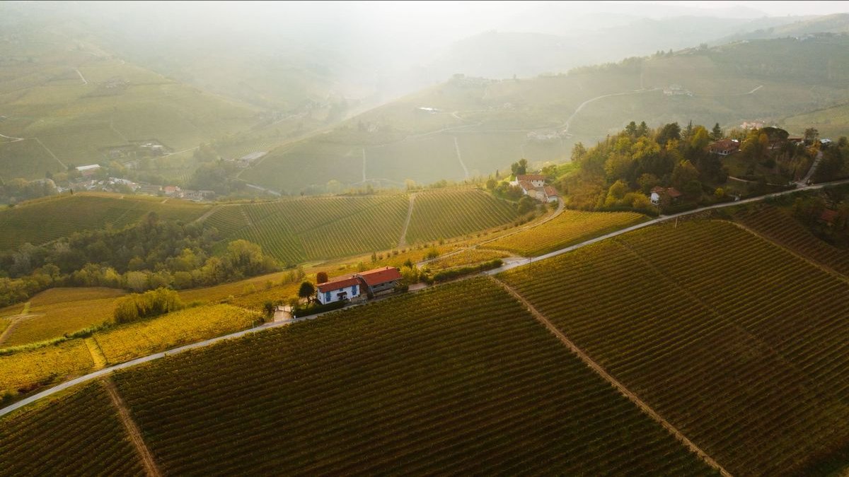 Top 10 Vineyard Estates in Charlotte — figure 4