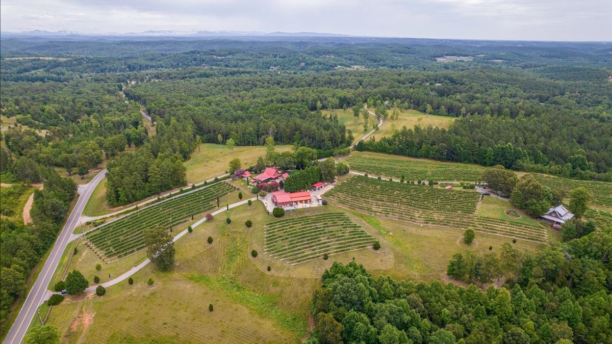 Top 10 Vineyard Estates in Charlotte — figure 5
