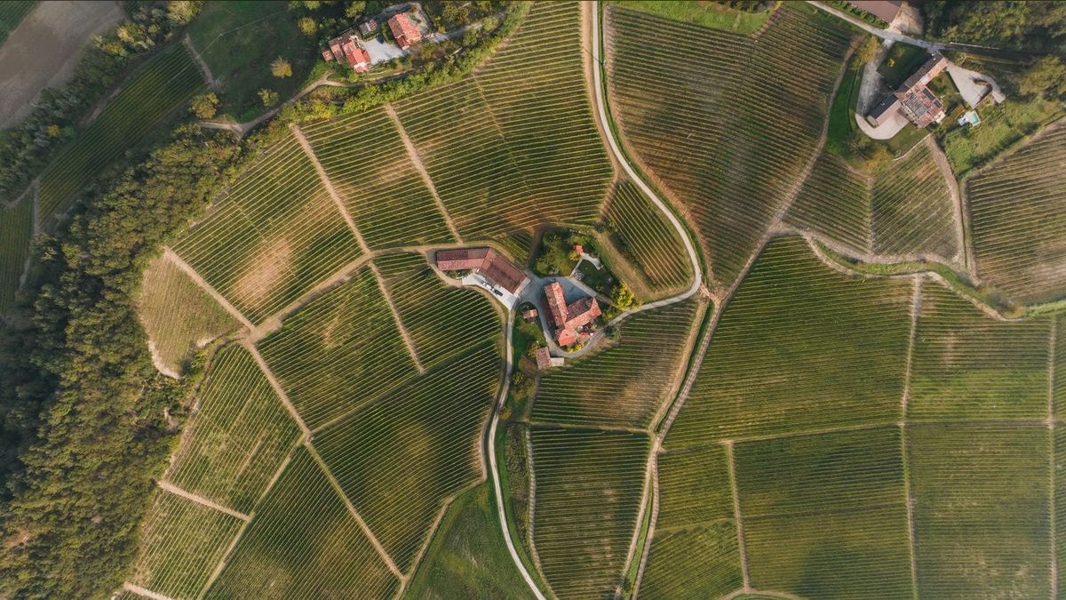 Top 10 Vineyard Estates in Charlotte — figure 6