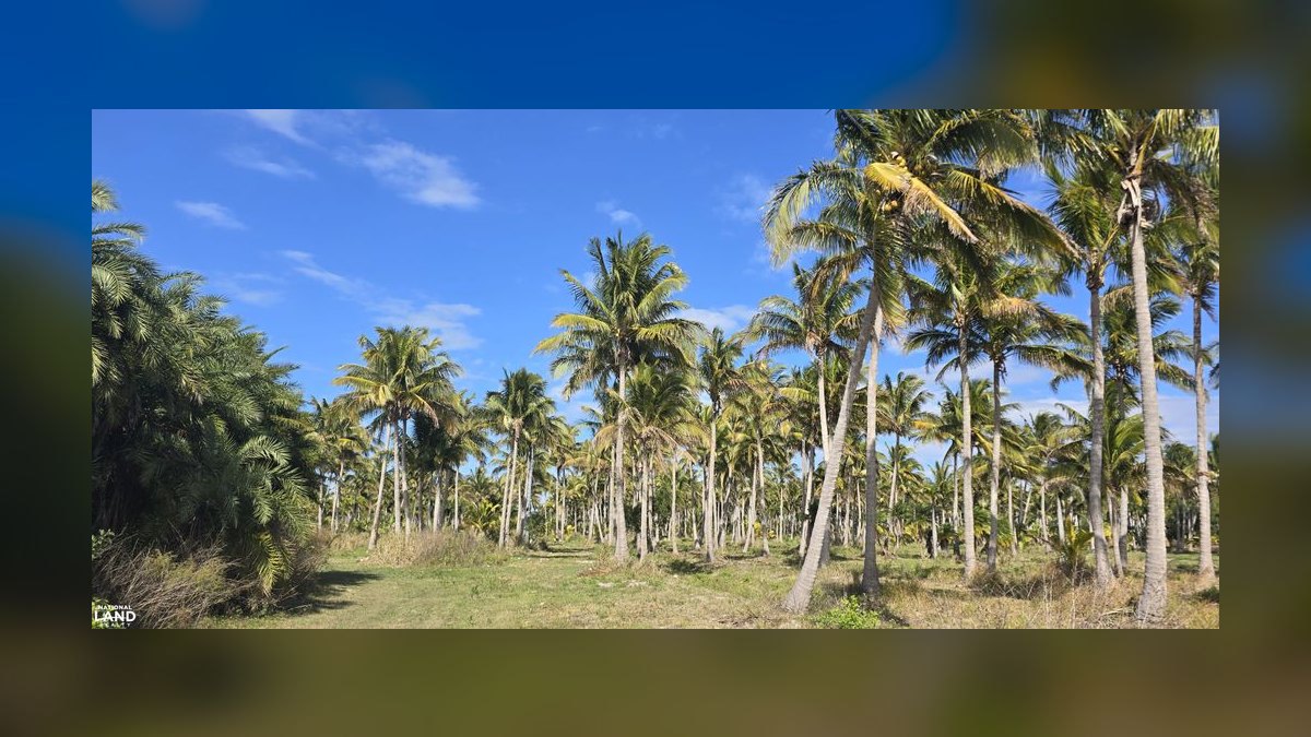 Top 10 Private Island Estates for Sale in 2027 — figure 6