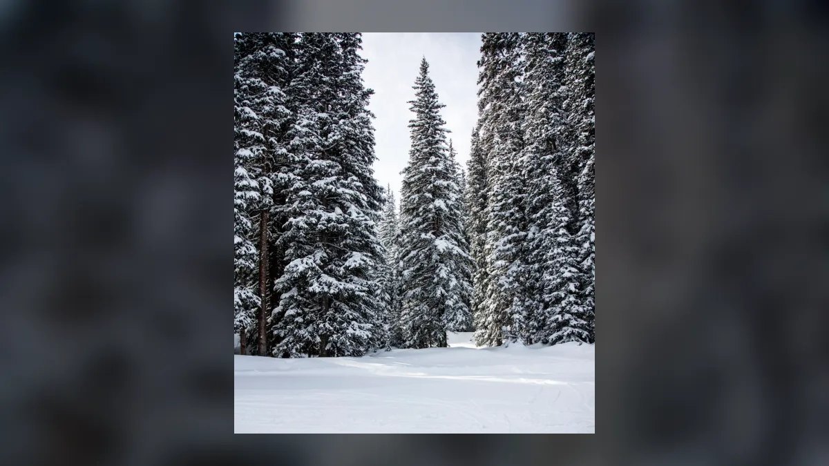 Top 10 Ski Towns in Colorado vs. Top 10 Mountain Towns in Colorado in 2027 — figure 8
