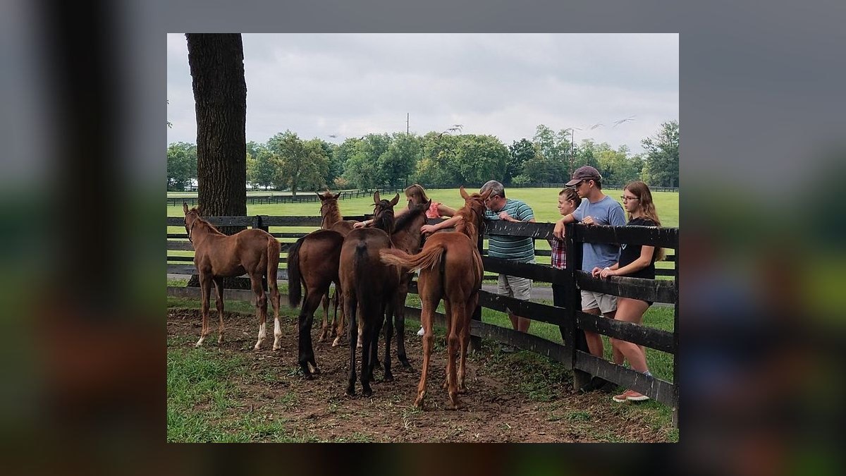 Top 10 Equestrian Communities in Florida vs. Top 10 Equestrian Communities in Kentucky in 2027 — figure 4
