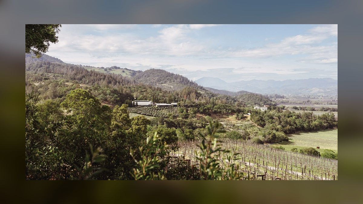 Top 10 Vineyard Estates vs. Horse Farms in Napa Valley in 2027 — figure 4