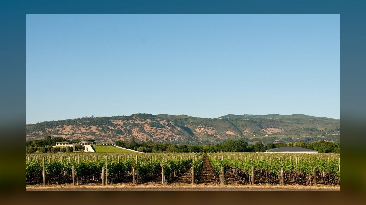 Top 10 Vineyard Estates vs. Horse Farms in Napa Valley in 2027 — figure 5
