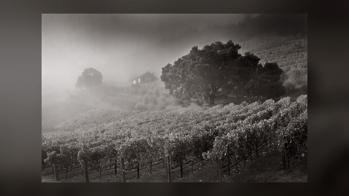 Top 10 Vineyard Estates vs. Horse Farms in Napa Valley in 2027 — figure 6