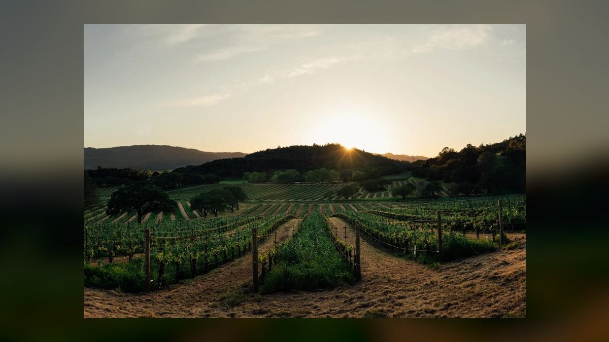 Top 10 Vineyard Estates vs. Horse Farms in Napa Valley in 2027 — figure 9