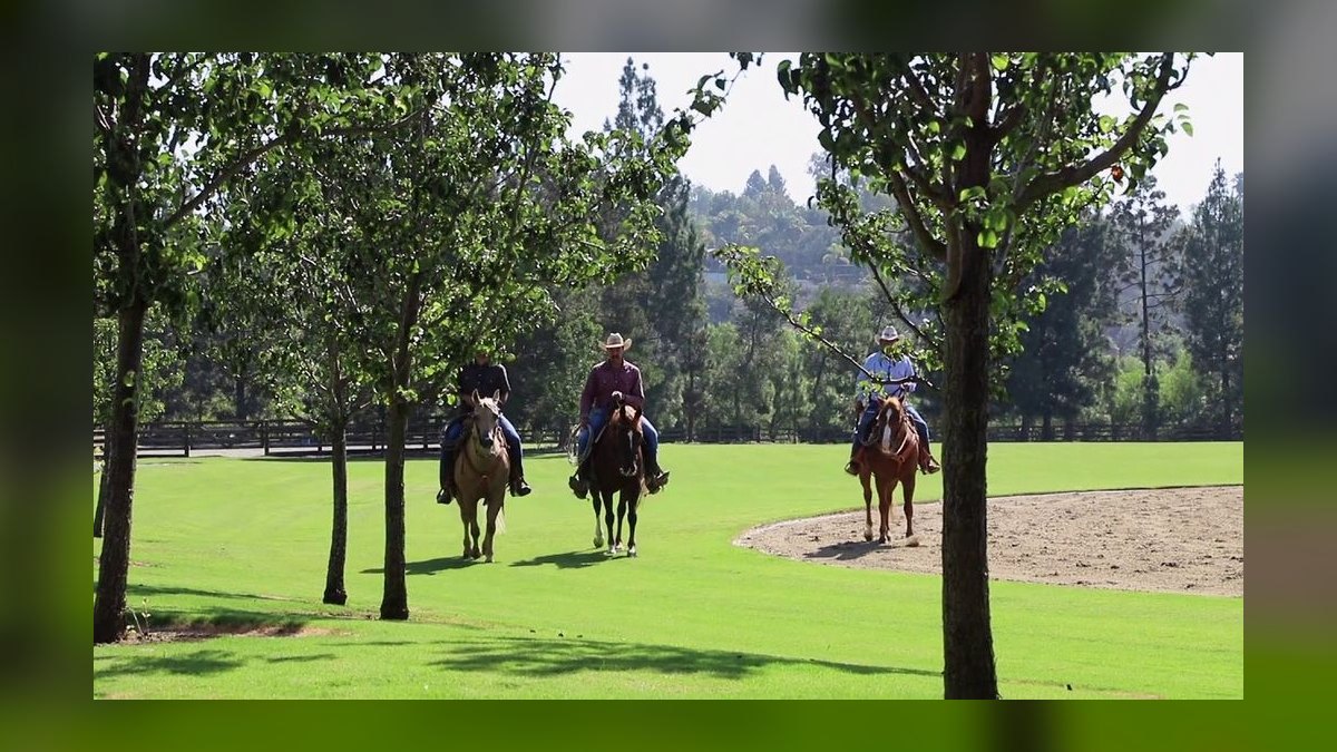 Top 10 Equestrian Estates in California in 2027 — figure 1