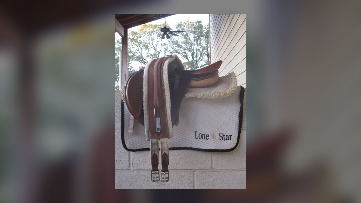 Top 10 Equestrian Estates in Texas in 2027 — figure 1