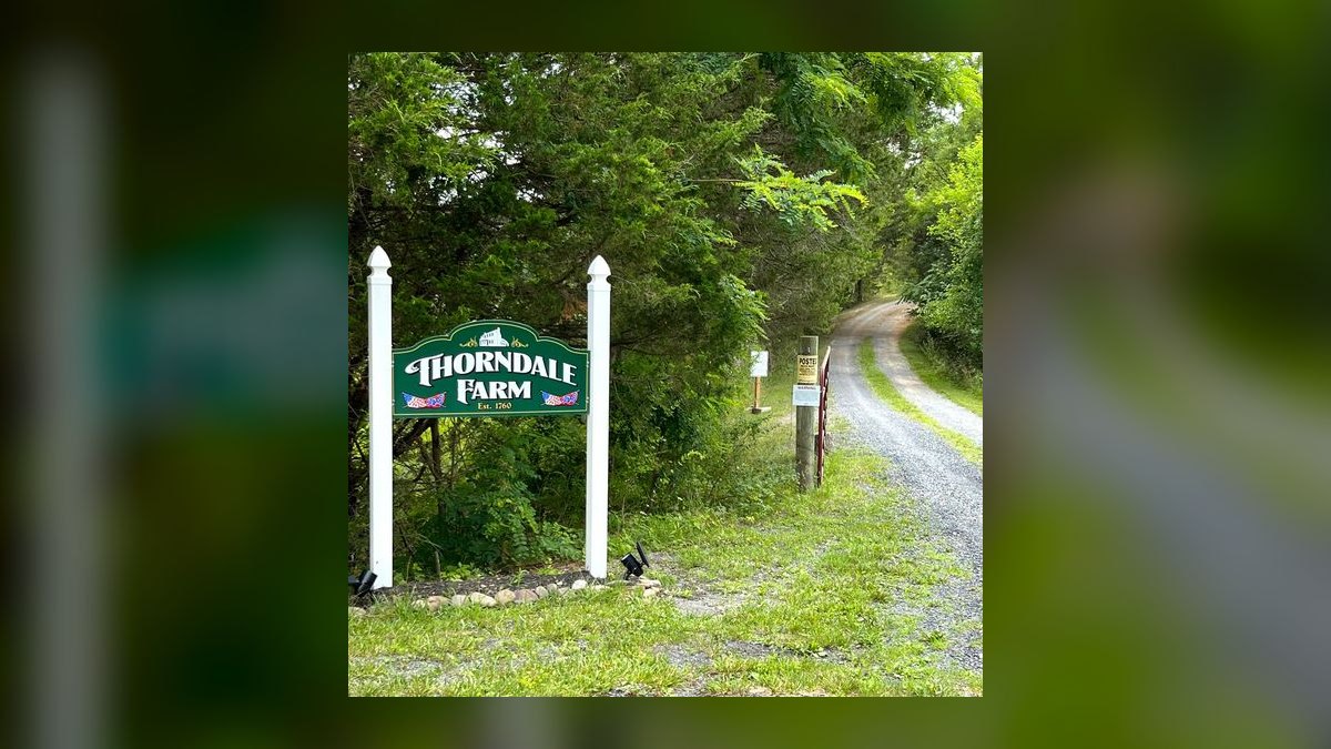 Top 10 Equestrian Estates in New York in 2027 — figure 6