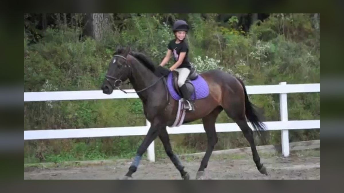 Top 10 Equestrian Estates in Pennsylvania in 2027 — figure 9