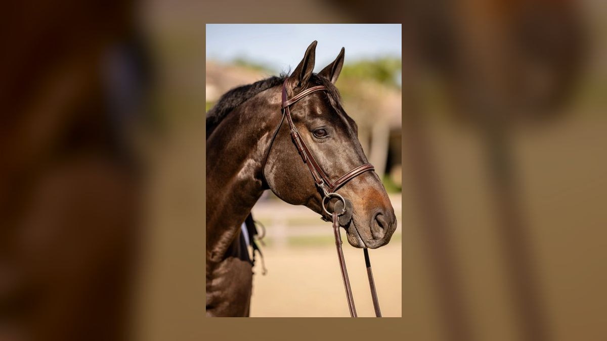 Top 10 Equestrian Estates in Illinois in 2027 — figure 10