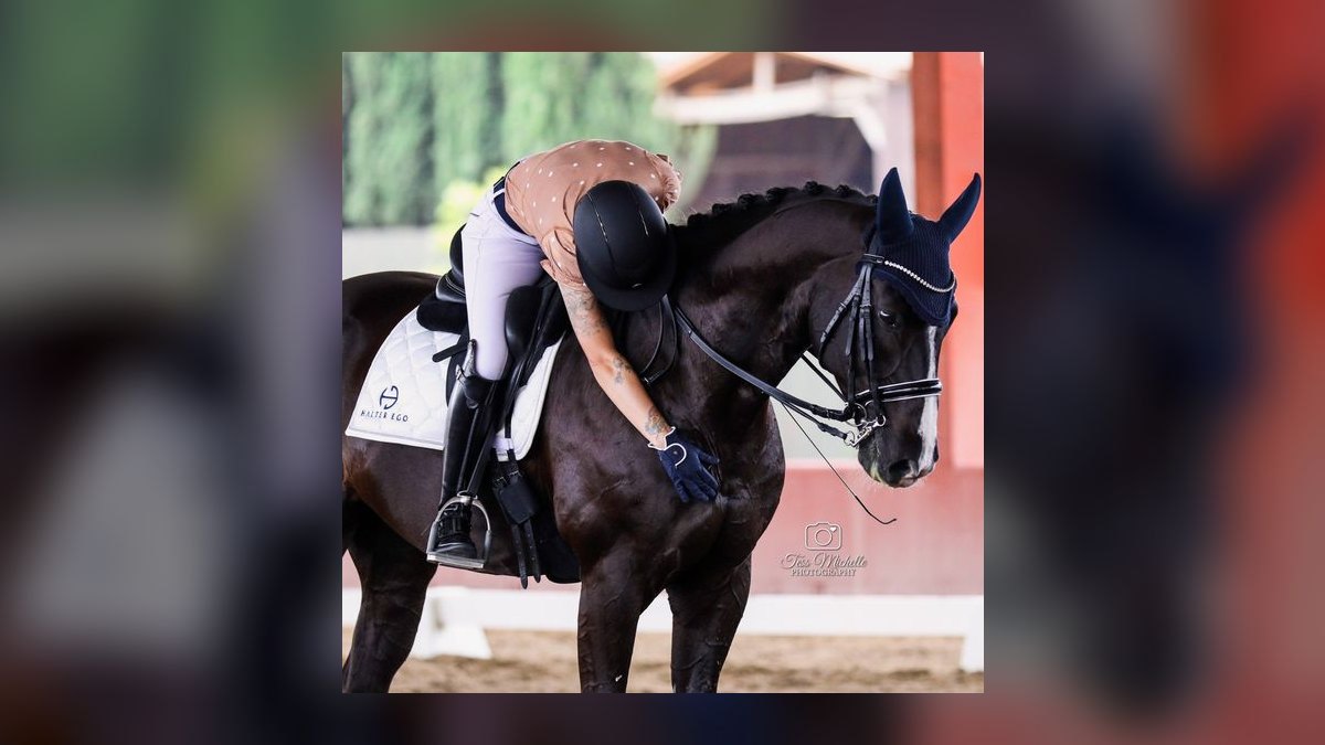 Top 10 Equestrian Estates in Illinois in 2027 — figure 7