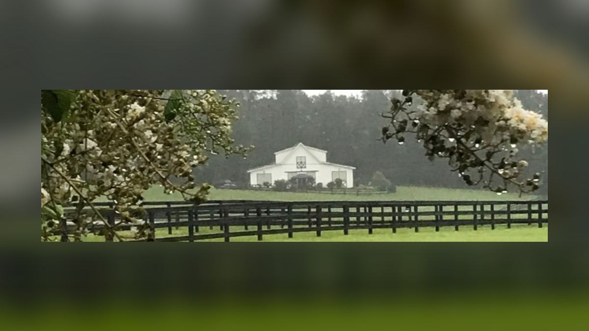 Top 10 Equestrian Estates in Ohio in 2027 — figure 8