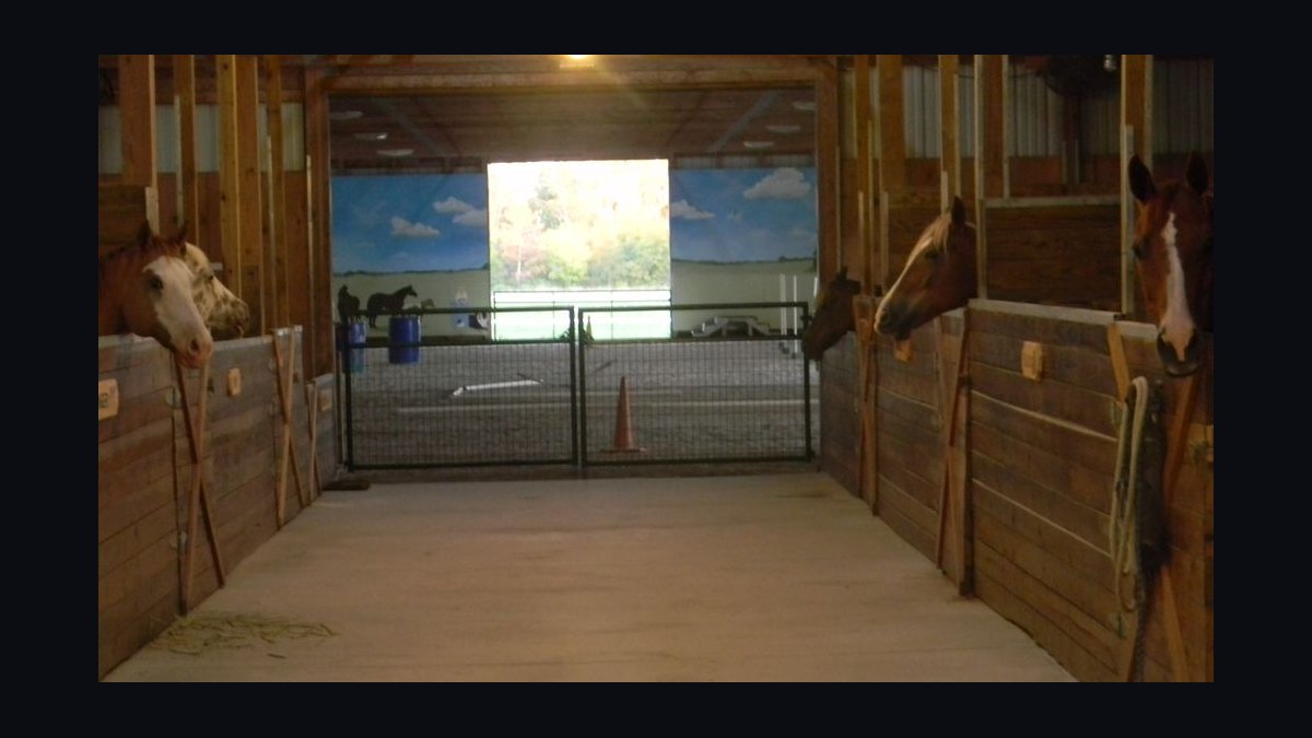 Top 10 Equestrian Estates in Georgia in 2027 — figure 2