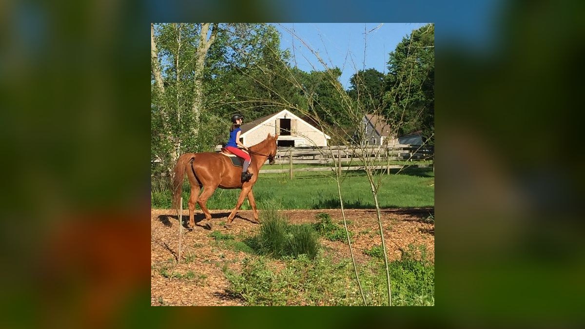 Top 10 Equestrian Estates in Michigan in 2027 — figure 4