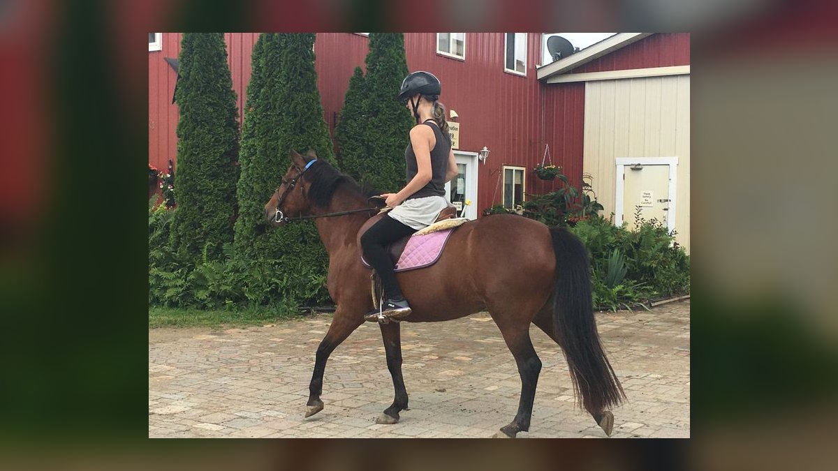 Top 10 Equestrian Estates in Michigan in 2027 — figure 8