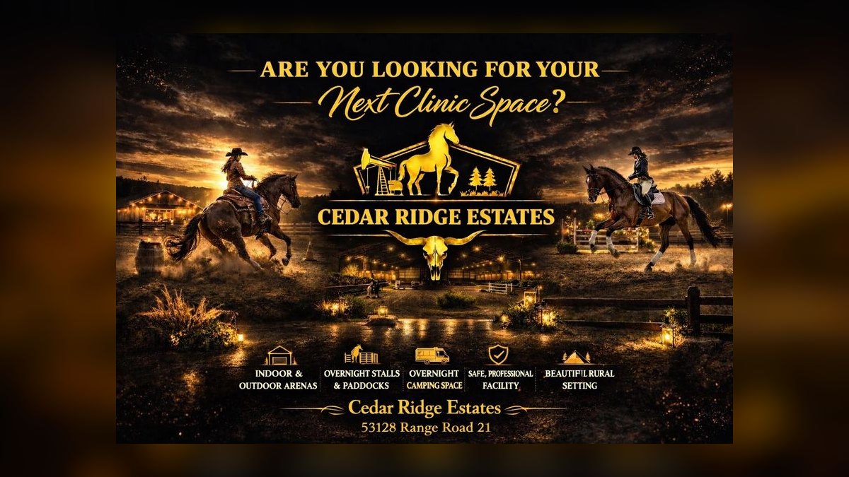 Top 10 Equestrian Estates in New Jersey in 2027 — figure 6