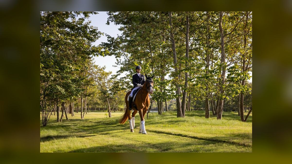 Top 10 Equestrian Estates in New Jersey in 2027 — figure 7