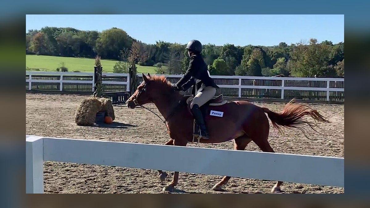 Top 10 Equestrian Estates in Massachusetts in 2027 — figure 6