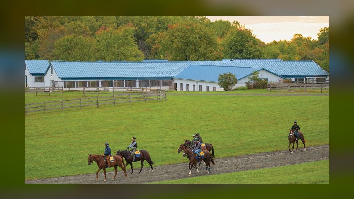 Top 10 Equestrian Estates in Maryland in 2027 — figure 3