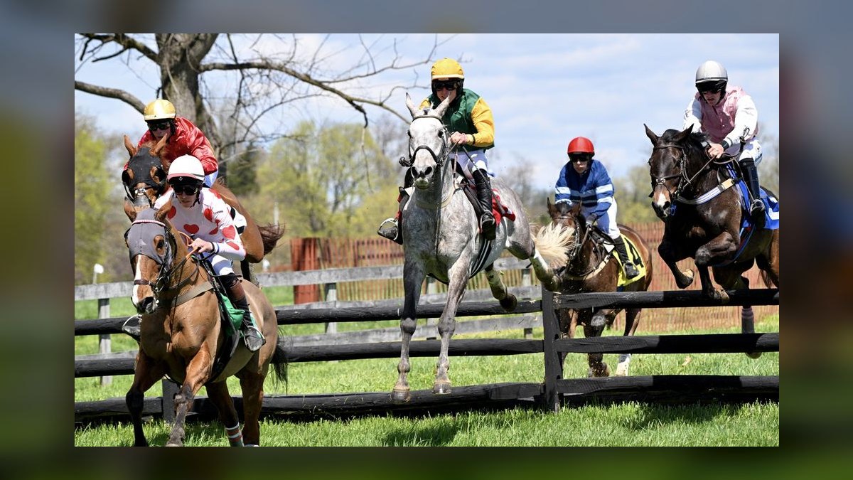 Top 10 Equestrian Estates in Maryland in 2027 — figure 5