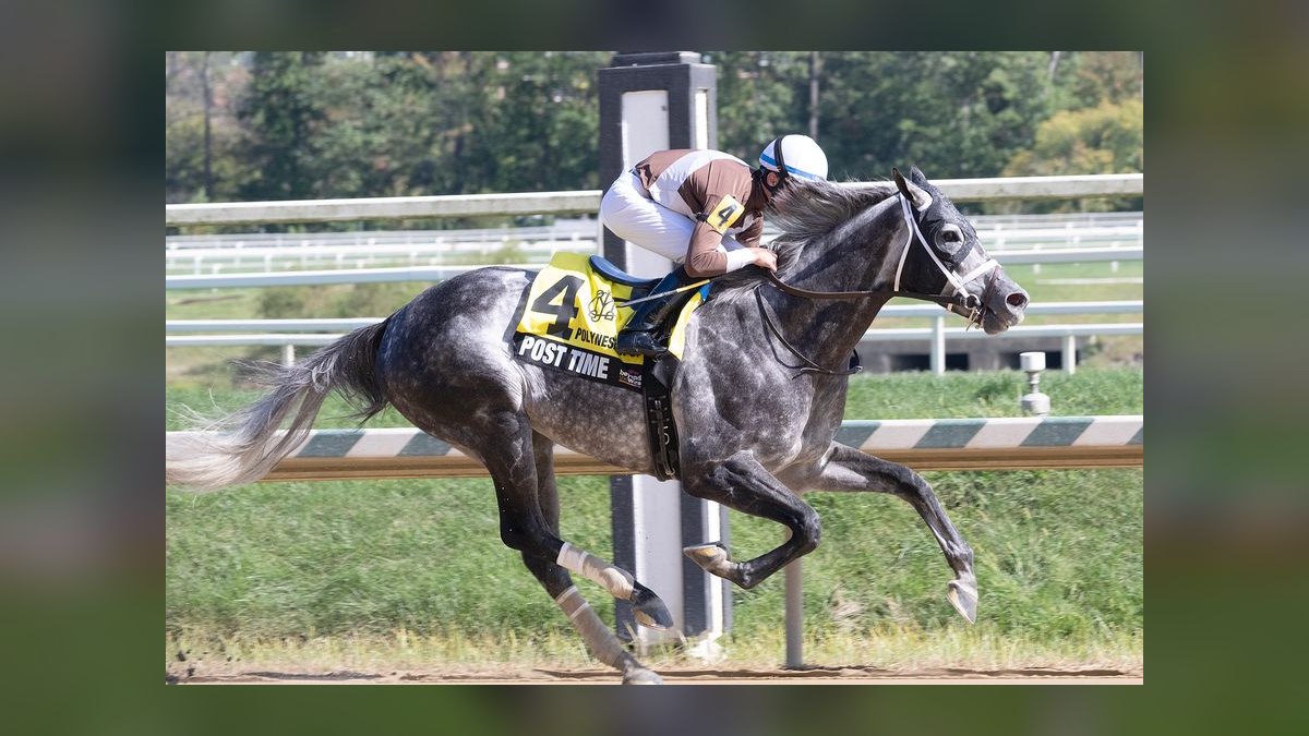 Top 10 Equestrian Estates in Maryland in 2027 — figure 7