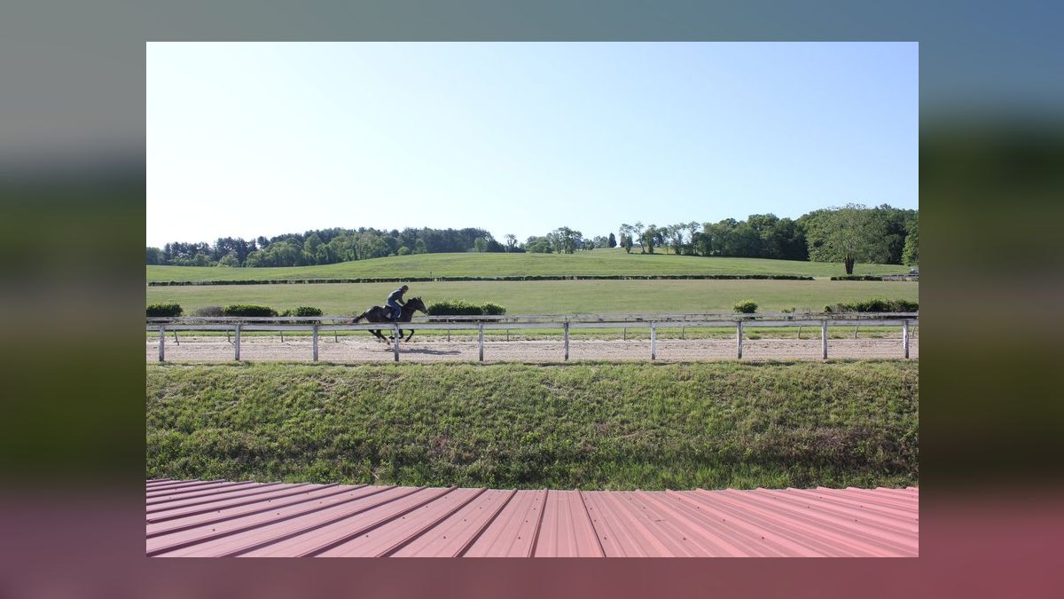 Top 10 Equestrian Estates in Maryland in 2027 — figure 9