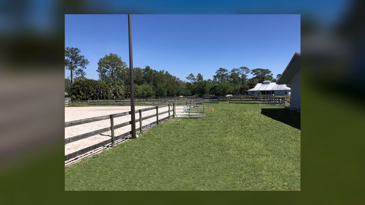Top 10 Equestrian Estates in Florida in 2026 — figure 5