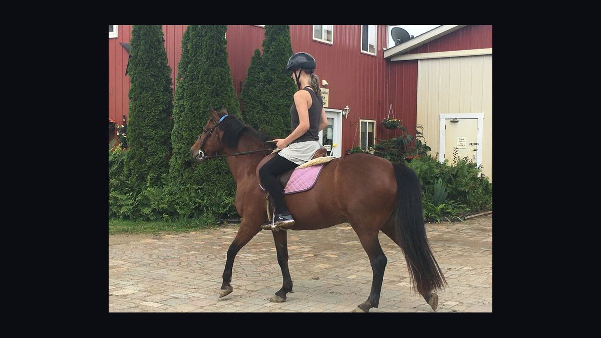 Top 10 Equestrian Estates in Minnesota in 2026 — figure 2