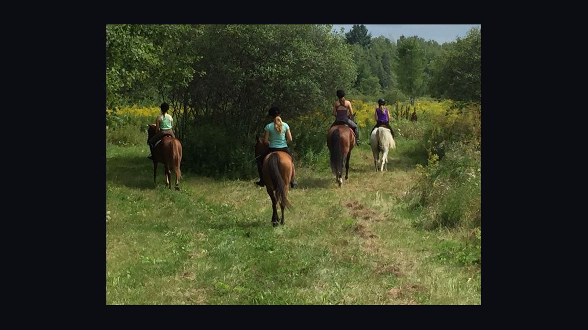 Top 10 Equestrian Estates in Minnesota in 2026 — figure 4