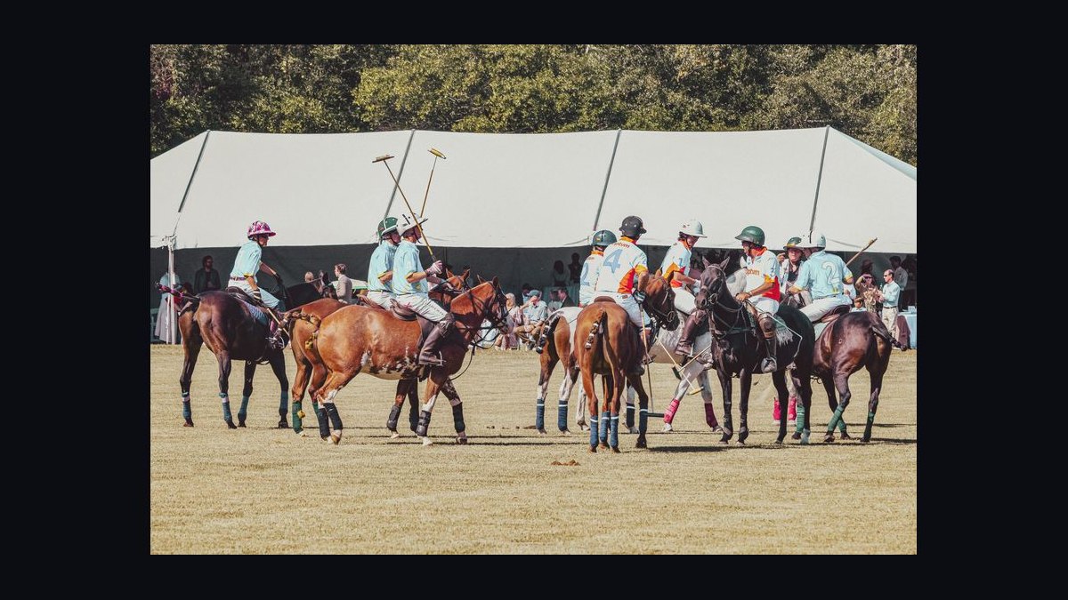 Top 10 Equestrian Estates in South Carolina in 2026 — figure 3