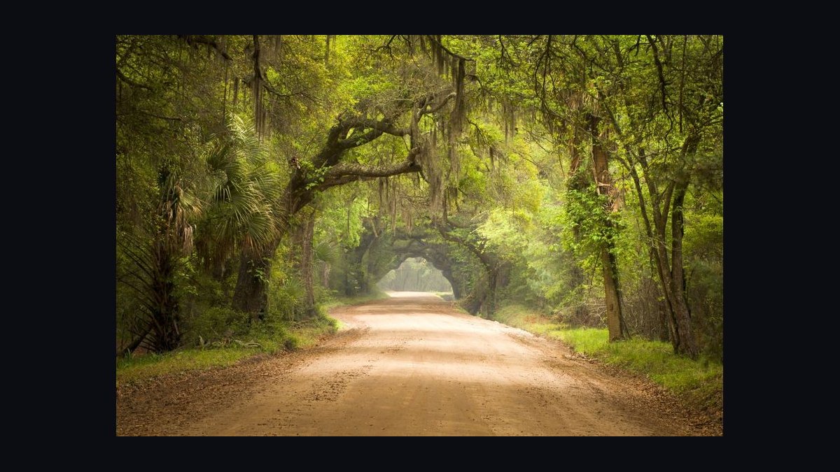 Top 10 Equestrian Estates in South Carolina in 2026 — figure 5