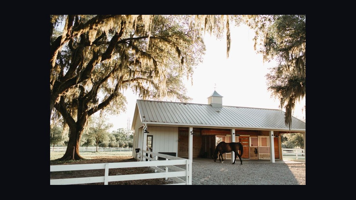 Top 10 Equestrian Estates in South Carolina in 2026