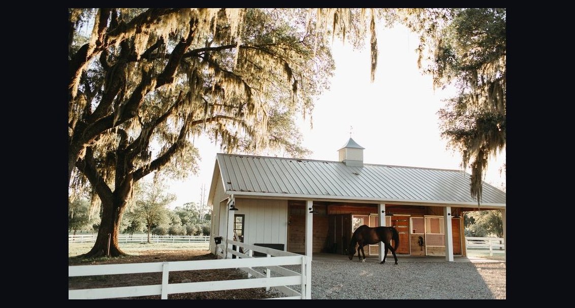 Top 10 Equestrian Estates in South Carolina in 2026